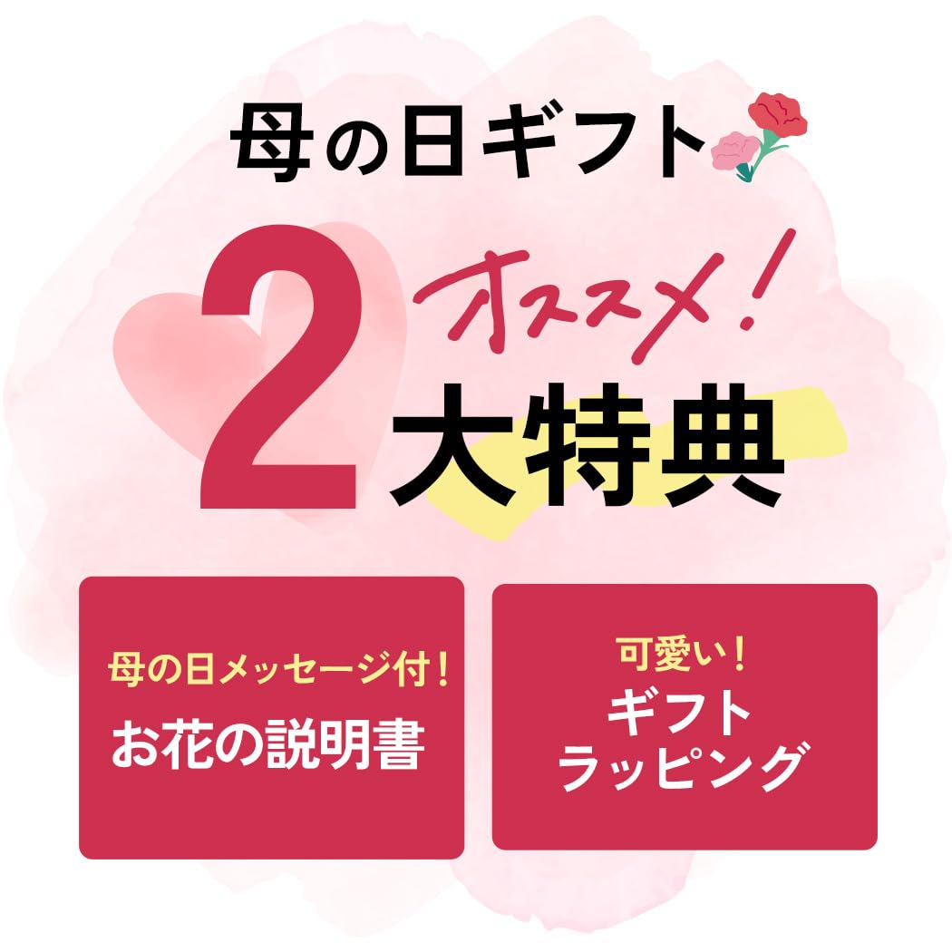 【そのまま飾れる】 母の日 花束 フラワーアレンジメント パステルプティ メッセージカード付き 花 カーネーション バラ ブーケ 母の日ギフト 選べる プレゼント 日本花キ流通 - 3