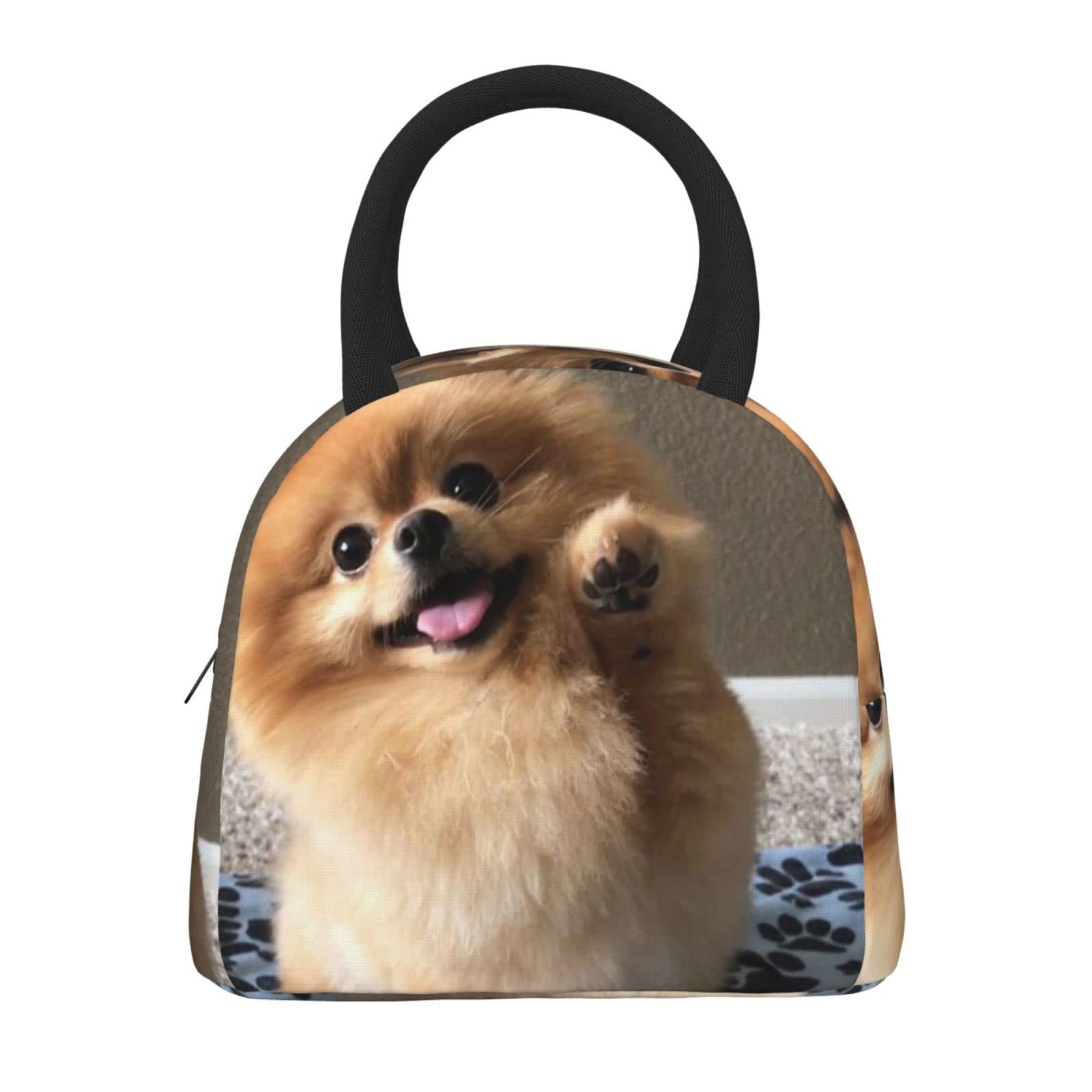 ポーチ＆エコバッグ♡ポメラニアン ポーチ＆エコバッグ♡ポメラニアン 楽天市場】ポメラニアン エコ