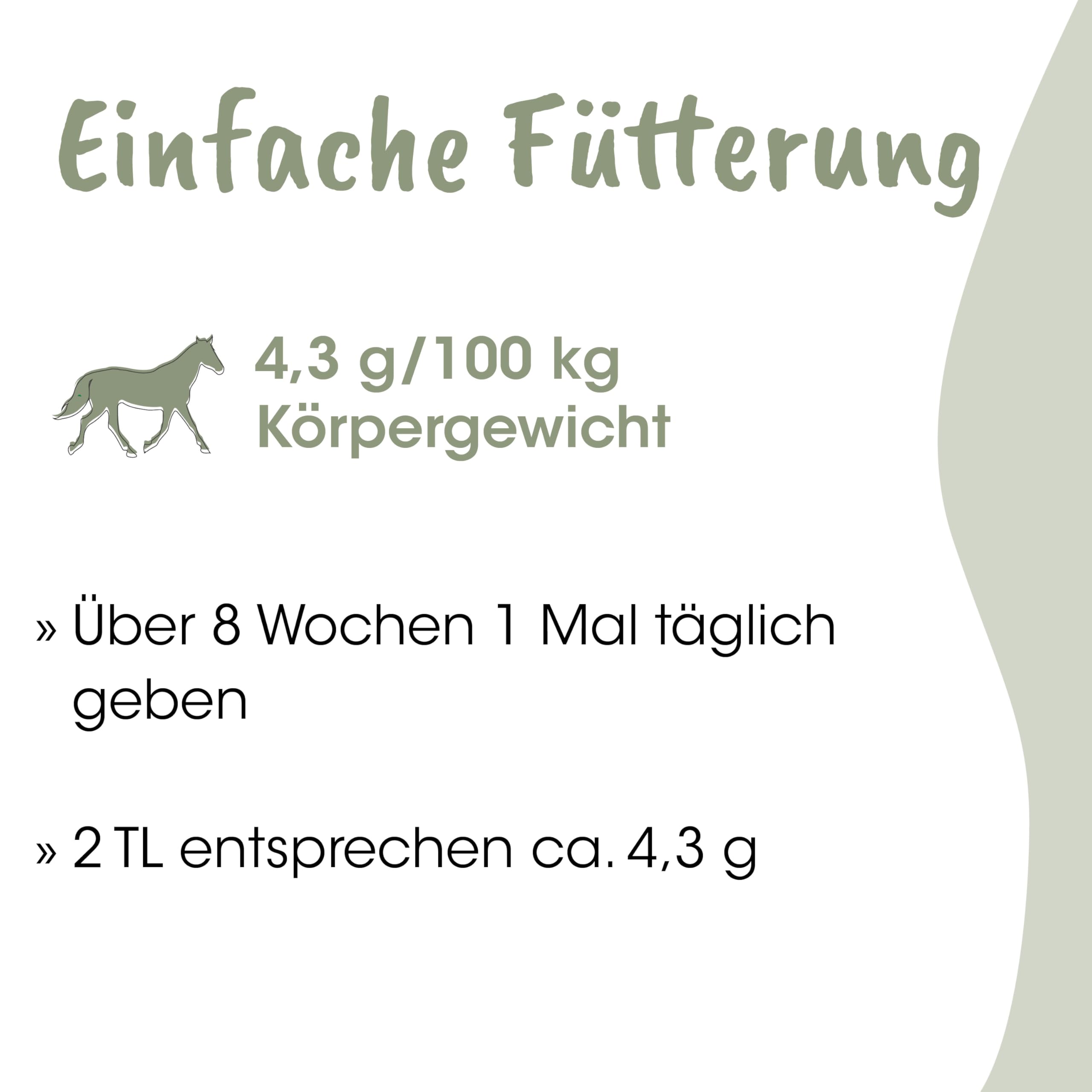 cdVet EquiGreen RosseRegulat - Nahrungsergänzung mit Mönchspfeffer zur Unterstützung bei Rossigkeit von Stuten, 1 Stück (1er Pack)