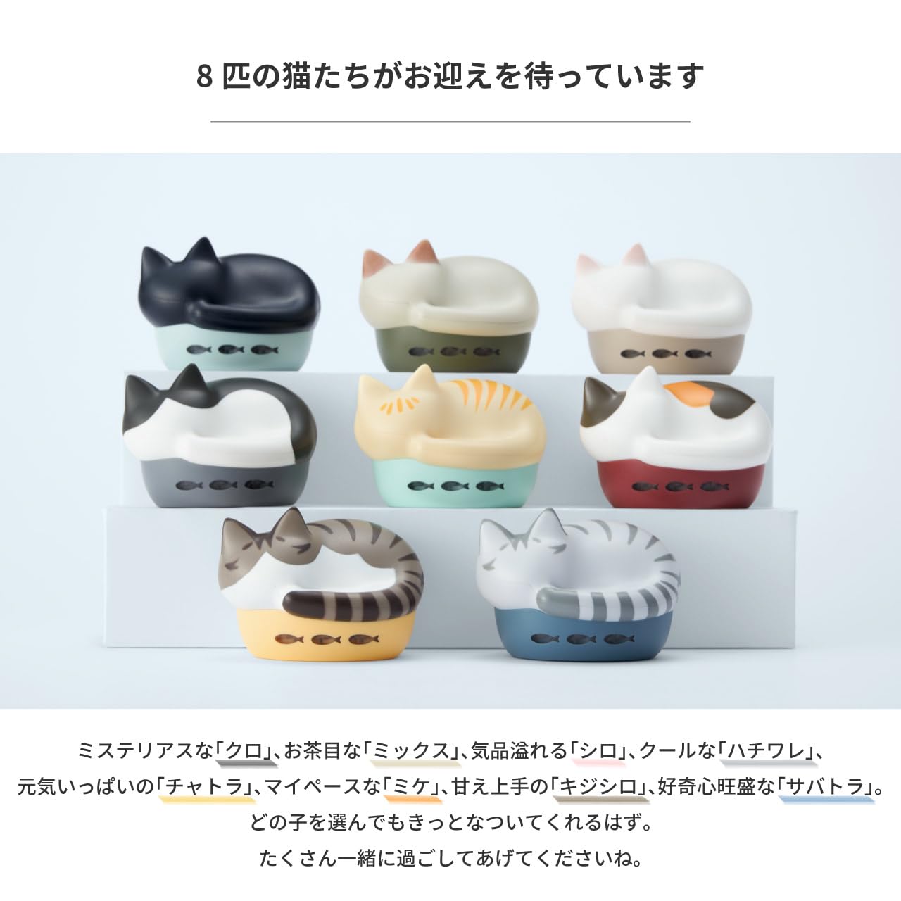 Amazon.co.jp: ラディウス radius HP-C28BT 完全ワイヤレスイヤホン