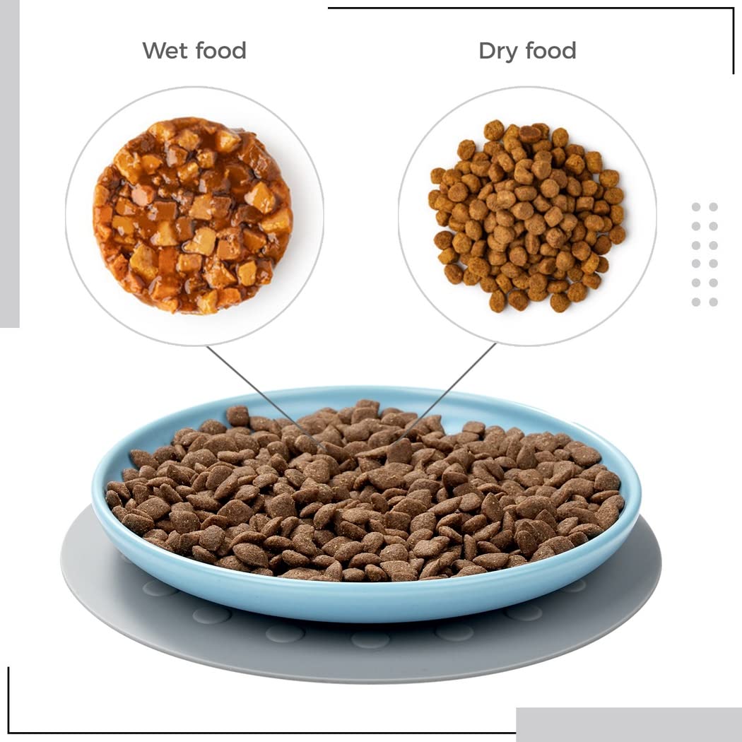 Lot de 3 gamelles en céramique pour Chat, Assiettes Larges et Peu Profondes pour Chats, Chatons et Chiots, avec 3 Tapis antidérapants, pour réduire la Fatigue des Moustaches, lavables au