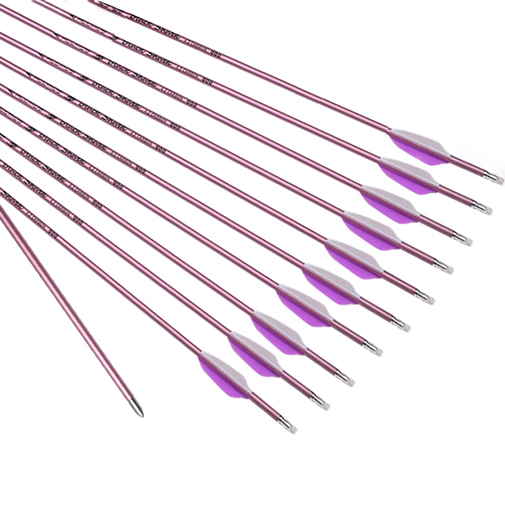 ACCMOS 6 Stück Hellviolette Feder Pfeile ID 4,2 mm Spine 1000 Jagdpfeil 28 Zoll Carbonpfeil, für Bogen & Pfeil Schießen (Spine 1000, 28inch)