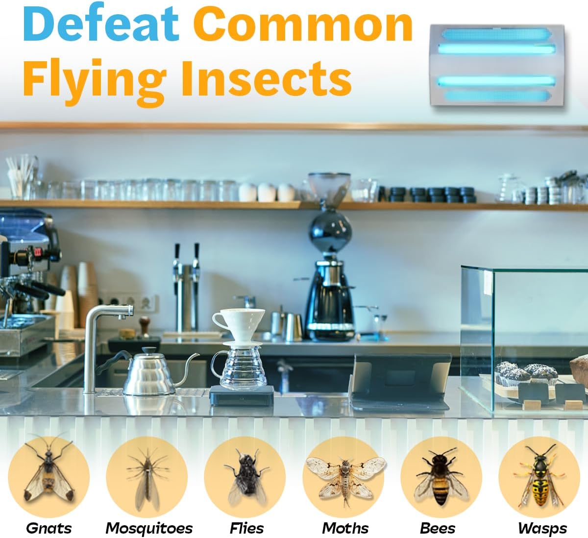 Gardner - iFly - Indoor Wall Mounted UV Fly Light Trap for Capturing Flies, Moths, Mosquitos and Other Flying Bugs