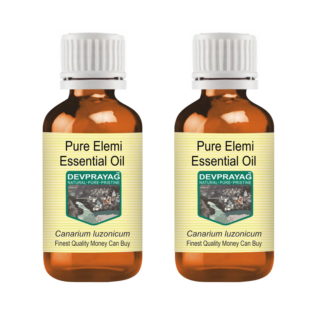 Pure Elemi Essential Oil (Canarium luzonicum) Steam Distilled (Pack of Two) 100ml X 2 (6.76 oz)