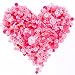 Swpeet 650 Pieces Assorted Sizes Resin Buttons 2 and 4 Holes Round Craft Buttons for Sewing DIY Crafts Children's Manual Button Painting (Pink)