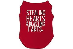Stealing Hearts & Blasting Farts Valentine's Day Dog Tee Shirt for Puppies,...