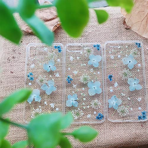 60 Stück Hortensien getrocknete Blumen, echte natürliche gepresste Blumen, Kunstharz, getrocknete Blumen für Harz, DIY, Handwerk, Handyhüllen, dünne Schnittbilder, Duftkerzen, handgefertigte Seife,