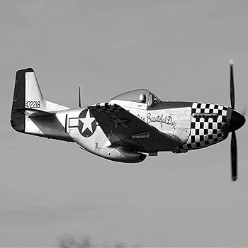 米戦闘機 P51 マスタング 実機破片付き コレクションディスプレイ 米戦闘機 P51 マスタング 実機破片付き コレクション