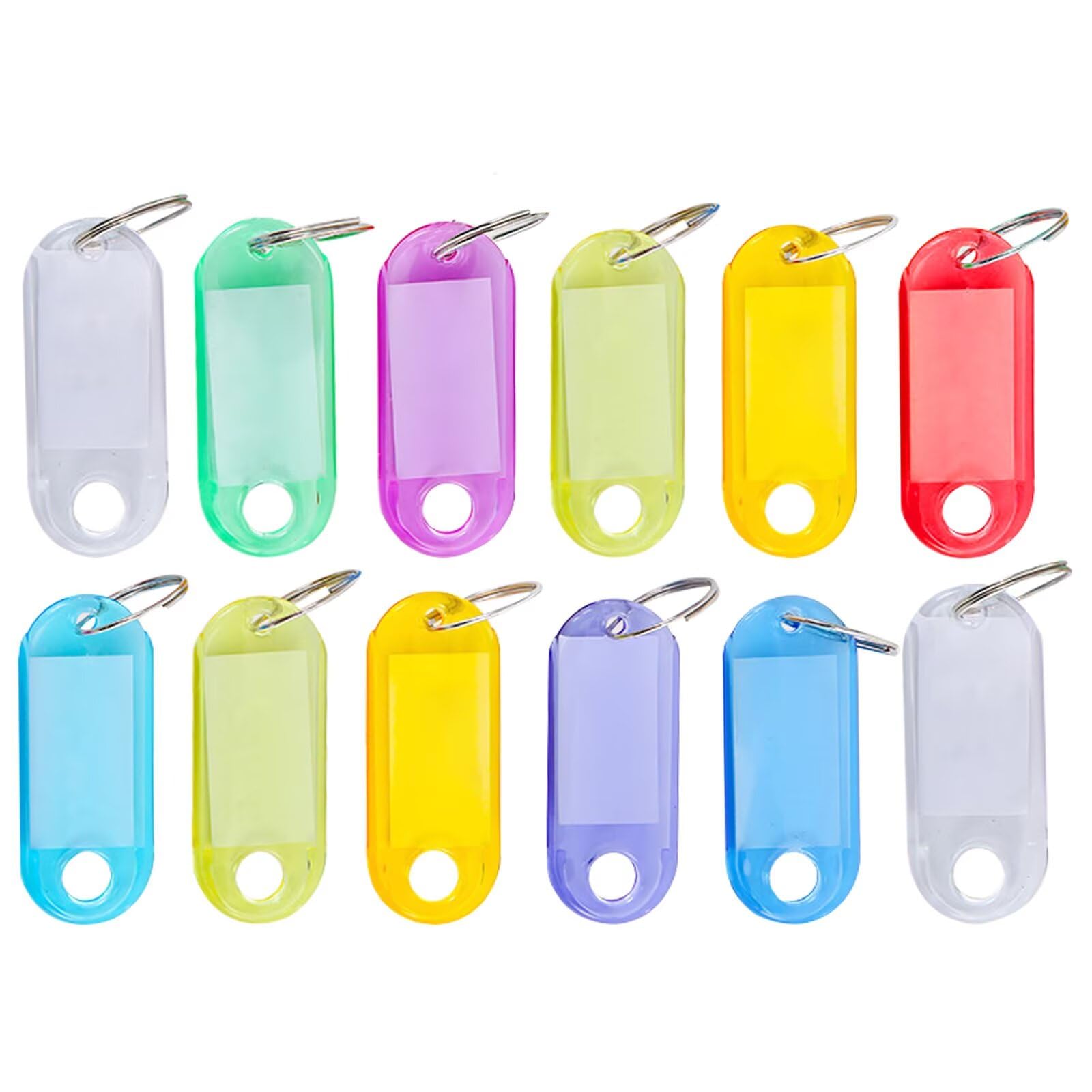 Glanzend Key Tags, Pack of 12 Key Tags with Writeable Labels Key Fobs Durable Plastic Key Rings Key Labels with Split Rings for Luggage Pet Name Memory Stick Tags (Random Colour)