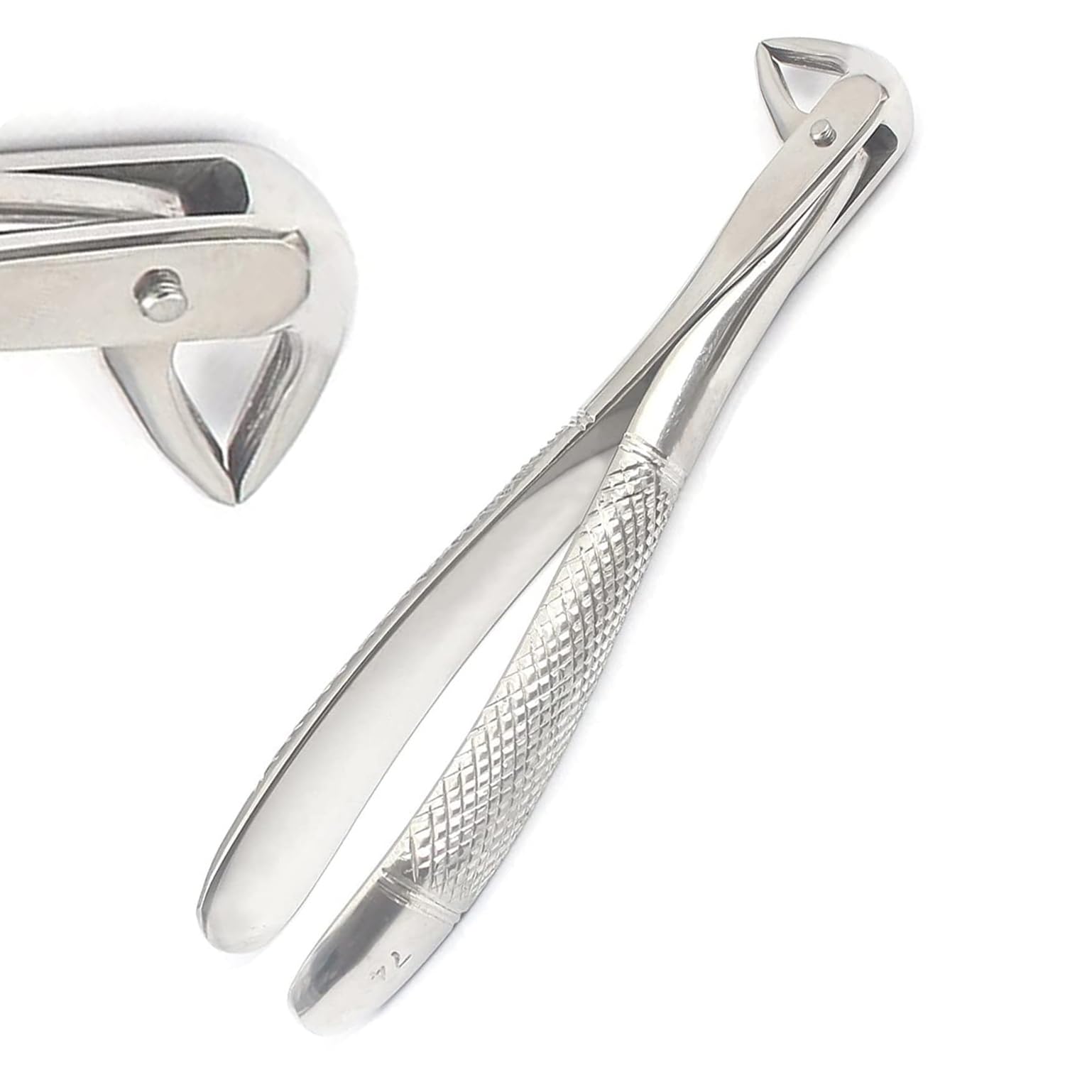 PRECISE CANADA: EXTRACTING FORCEP English Pattern Roots & Molar #74