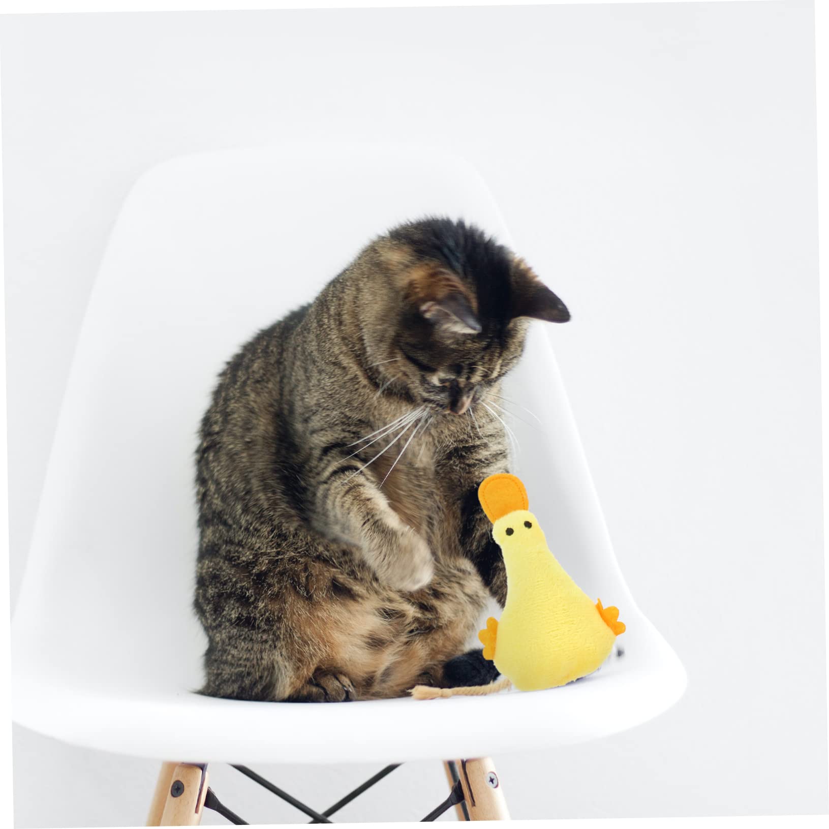 SUPVOX 20pièces Jouets Peluche pour Chats avec Cataire Jouets Amusants pour Intérieur Accessoires pour Animaux De Compagnie