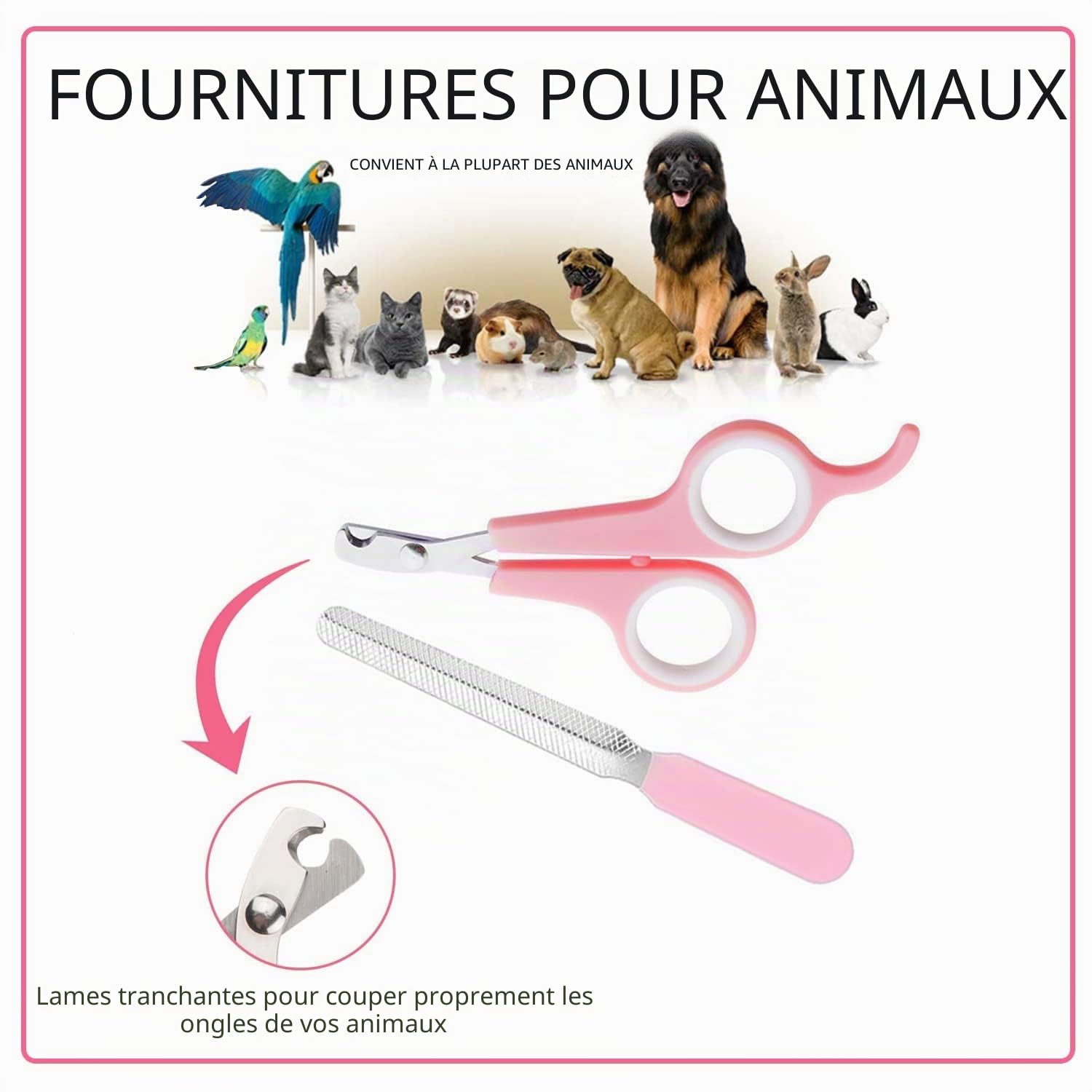 Kit de toilettage pour Petits Animaux de Compagnie, Brosse de toilettage pour Animaux de Compagnie, Gant de Massage, Peigne de toilettage pour Animaux de Compagnie, Coupe-Ongles, Lapin,