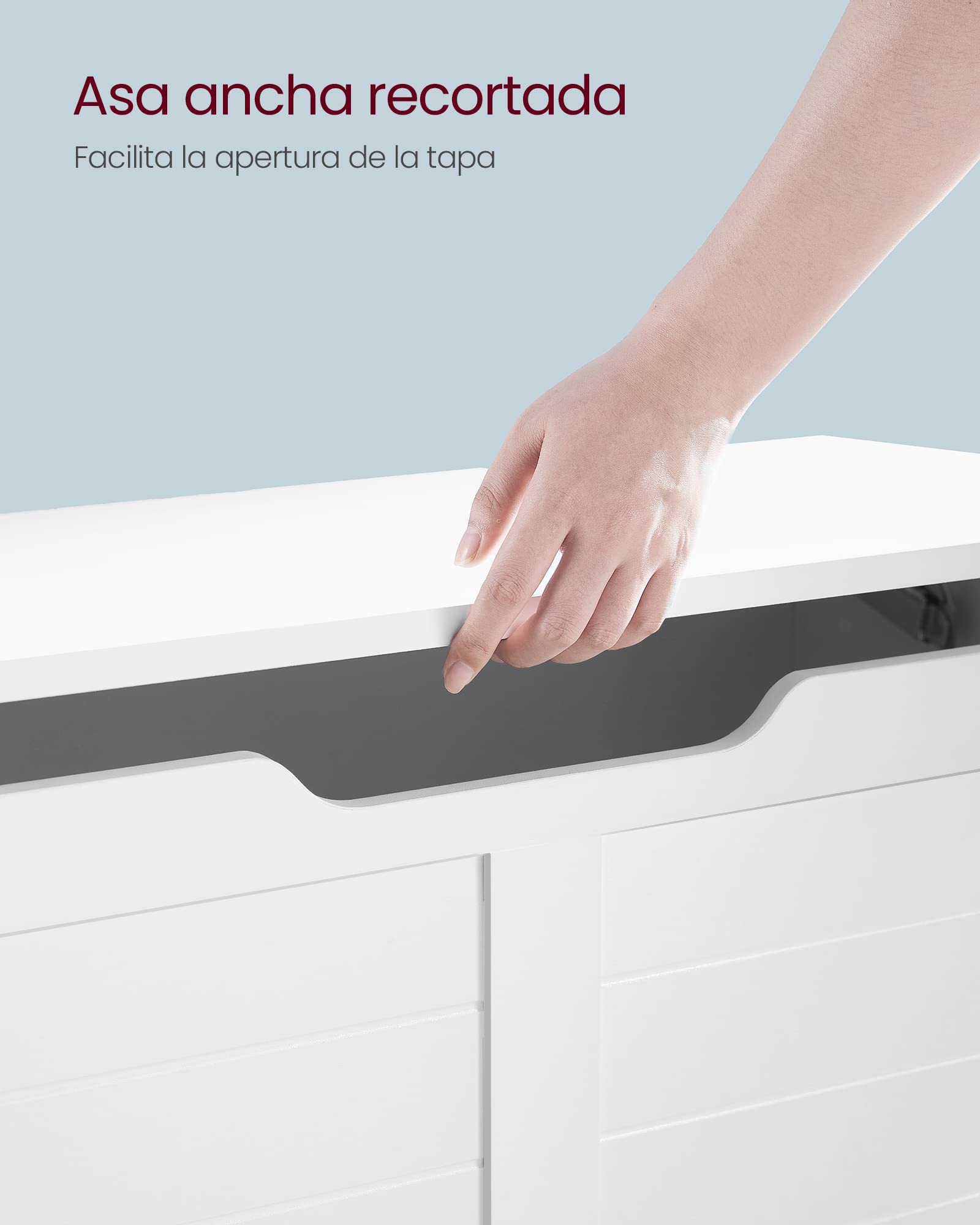 VASAGLE Puff Almacenaje, Banco Almacenaje con 2 Bisagras de Seguridad, Banco Zapatero, Estilo de Campo, 40 x 80 x 46 cm, para Pasillo Dormitorio Salón, Blanco Nube LSB063T14
