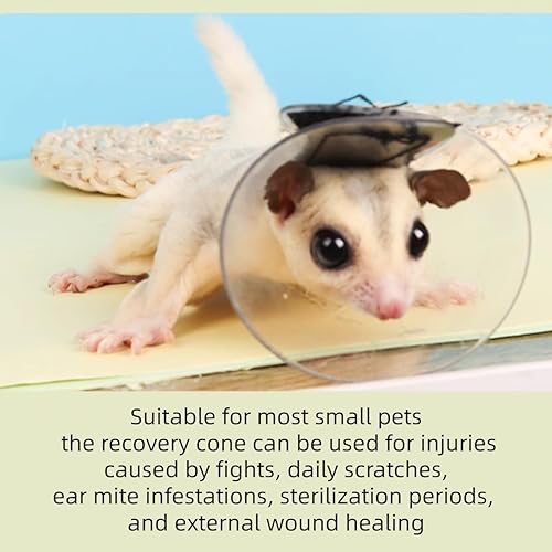 Miniatura 3 de MANON ROSA Juego de 2 vendajes autoadhesivos para recuperación de hámster, collar en E para recuperación de hámster, para animales pequeños,