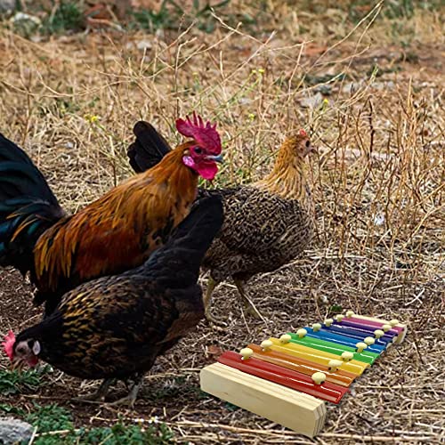 pologmase Hühner-Xylophon-Spielzeug für Hühner - Hühnerspielzeug aus Holz für Hühner Huhn | Hühnerstall Pickspielzeug… – Bild 5