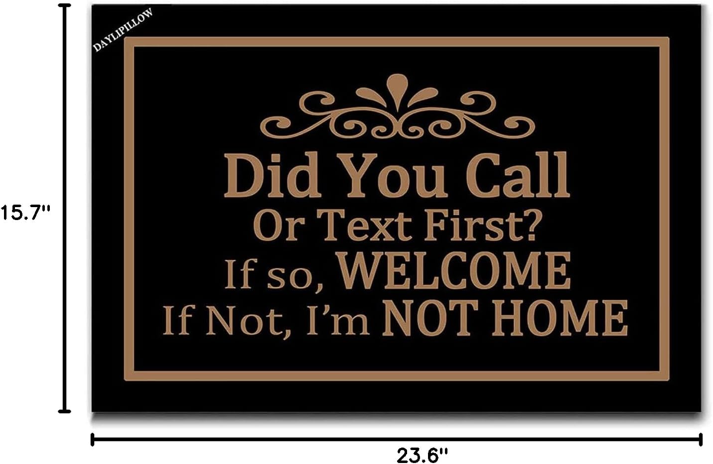 Did You Call or Text First Doormat - Welcome Mat Did You Call First Doormat Funny Floor Door Mat Area Rug Entrance Mats Housewarming Gift 23.6" x 15.7"