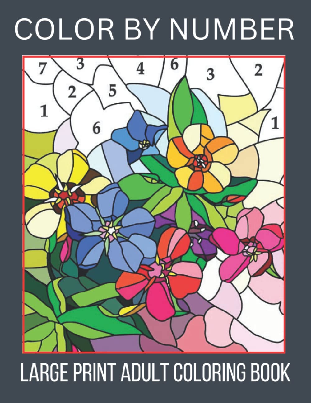Buy Large Print Adult Coloring Book Color By Number Large Print Color