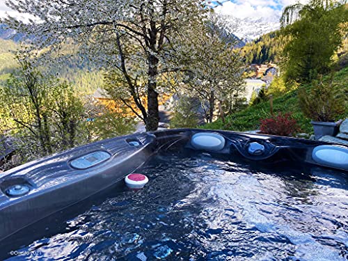 Ondilo ICO SPA V2 Essential+ Sel - Analyseur d'eau connecté spa – vue 7