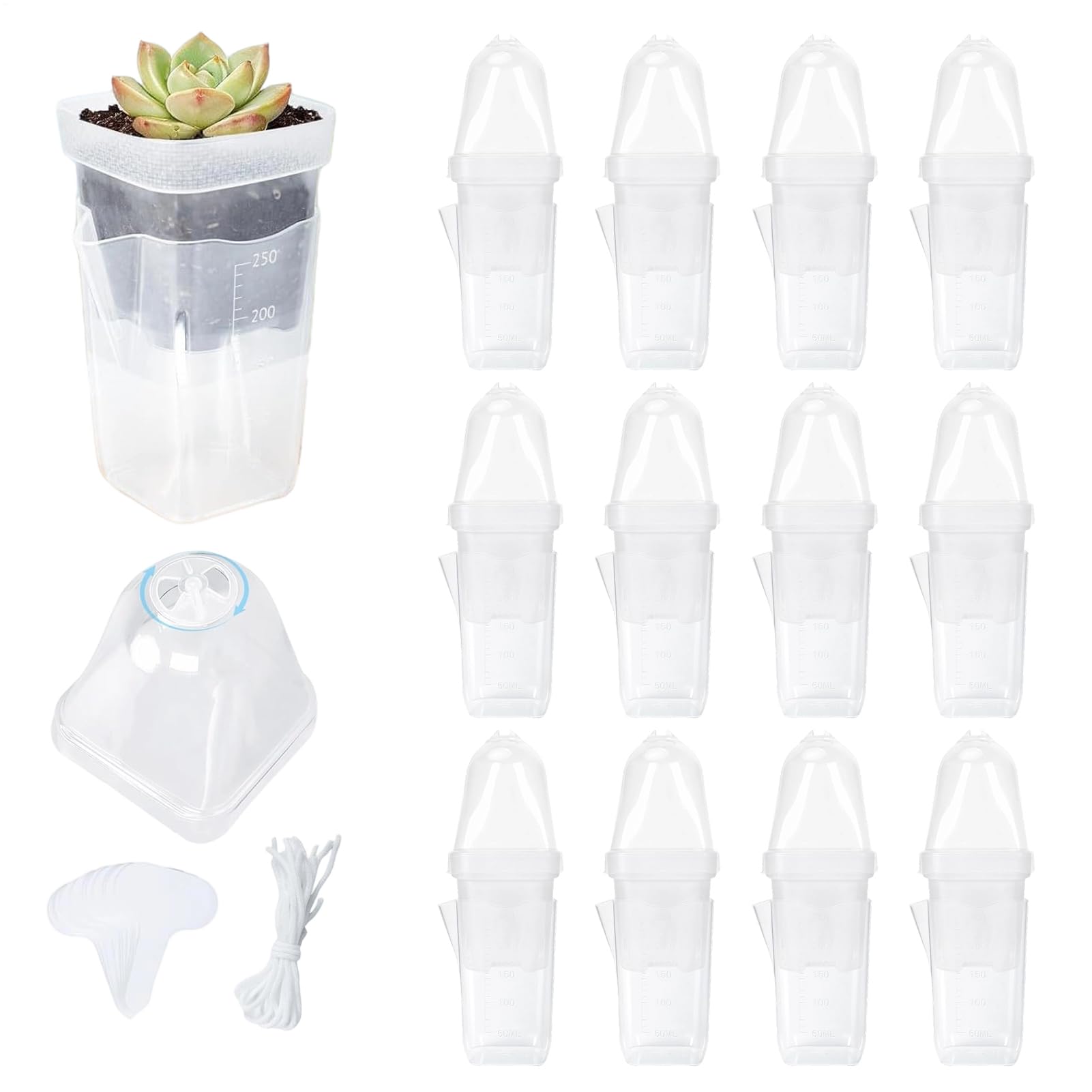 Lot de 12 pots à arrosage automatique – Cache-pot transparent, environ 5 cm, pour , avec dôme d'humidité, ventilation réglable, réservoir d'eau intégré de 150 ml | Pour boutures, balcons,