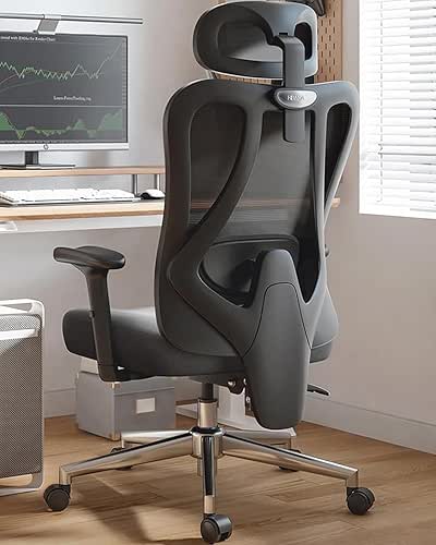 Hbada P3 Ergonnomic Office Chair with 2D Adjustable Lumbar Support,