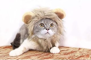 Amazon Co Jp 犬 猫用ライオンたてがみ ペット用品 Amazon Co Jp 犬 猫用ライオンたてがみ ペット用品