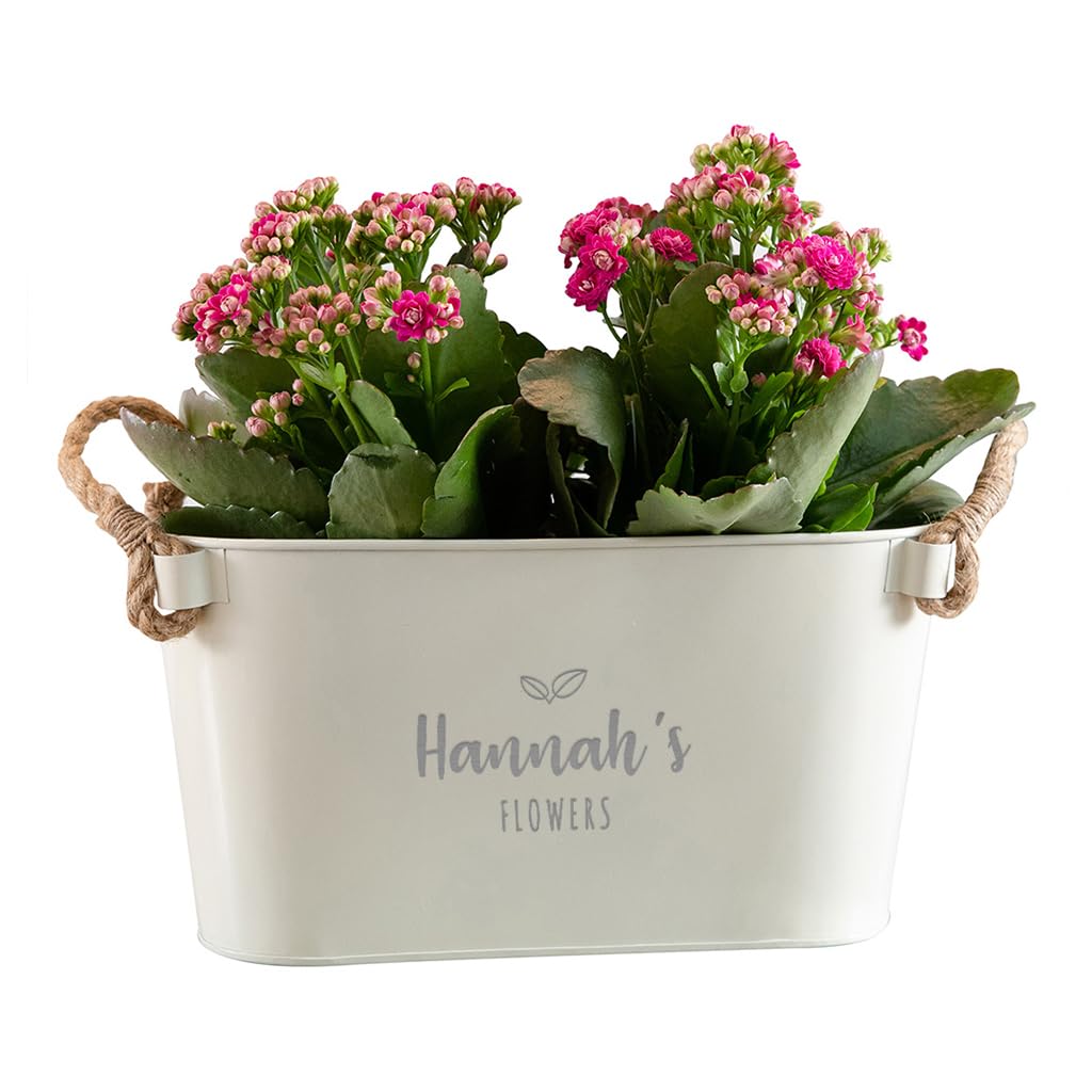 Personalised Herb Planter - Garden Gifts for Her Women - Unique Birthday Anniversary Gift for Plant Lovers (Small Plater)