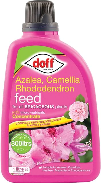 Doff 1L Ericaceous Plant Feed