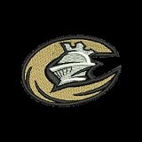 Vantage Apparel Minor League Baseball Charlotte Knights 1/4-Zip Tech Pullover, Black, XL