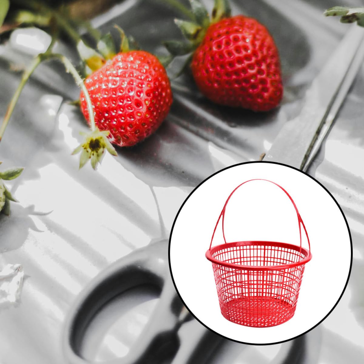 Cestino Rotondo per Raccolta Frutta 10 Pezzi in Plastico Rosso