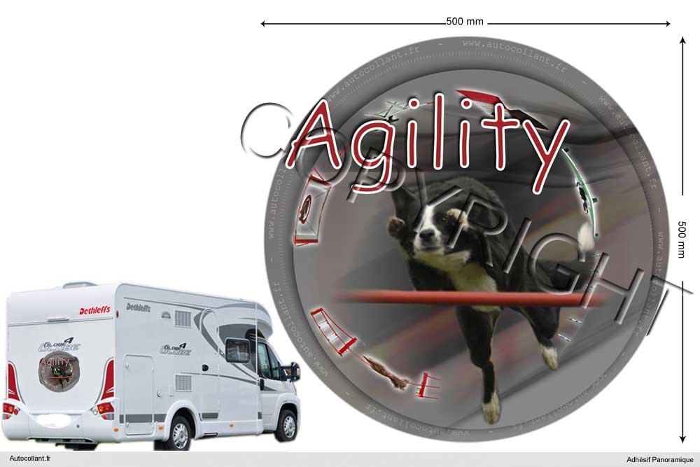 Adhesivo de perro circular de 50 cm Agility-Border-Collie-03