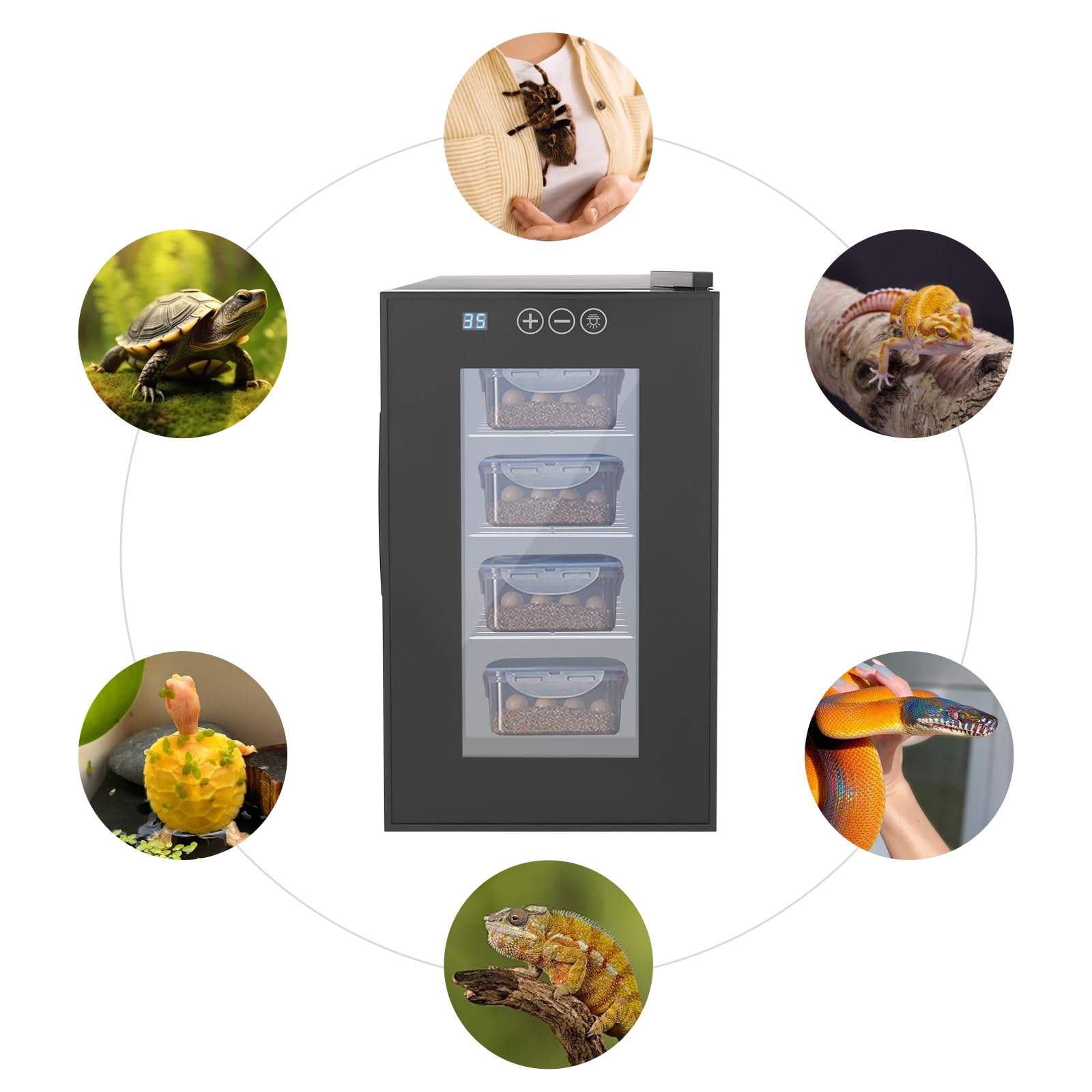 Inkubator do jaj gadów, 23 l, 55 W, automatyczny inkubator z wyświetlaczem LED, cichy, regulowana temperatura 10-40°C, dla żółwi wodnych, 25,8 x 50,2 x 46,5 cm, czarny
