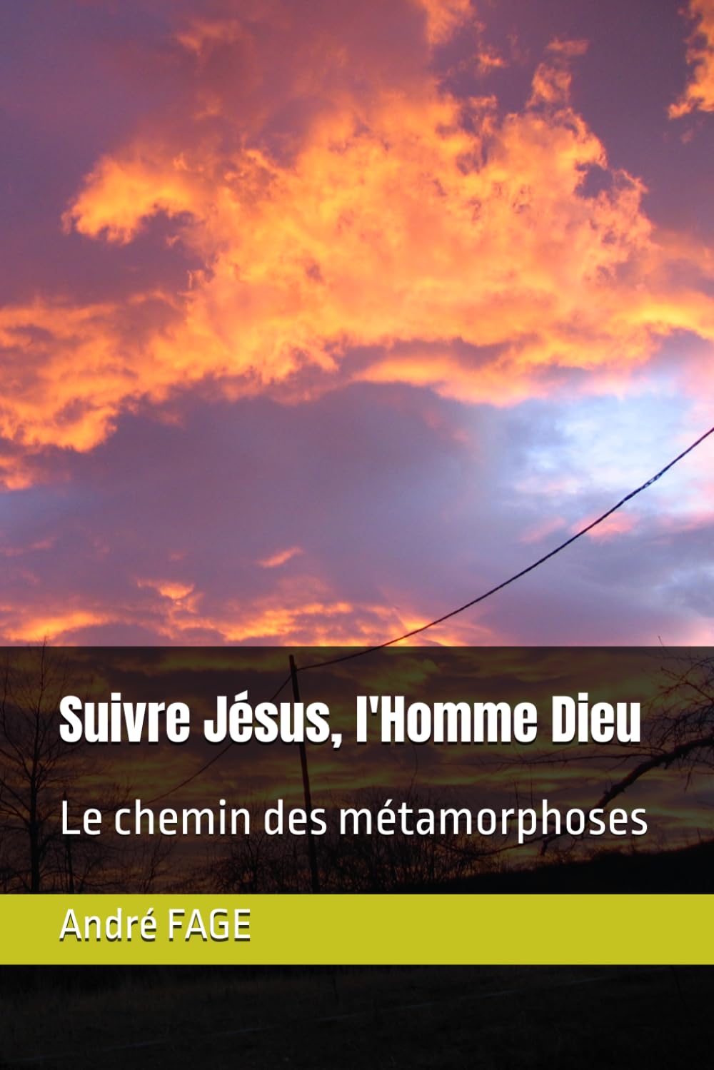 Suivre Jésus, l'Homme Dieu: Le chemin des métamorphoses