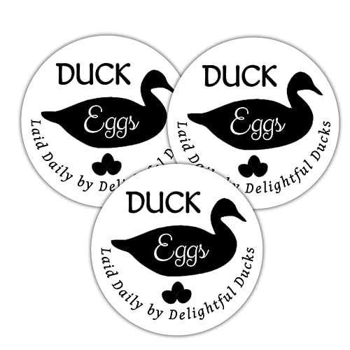 60 Duck Egg Carton Labels Stickers Tags "Duck eggs laid
