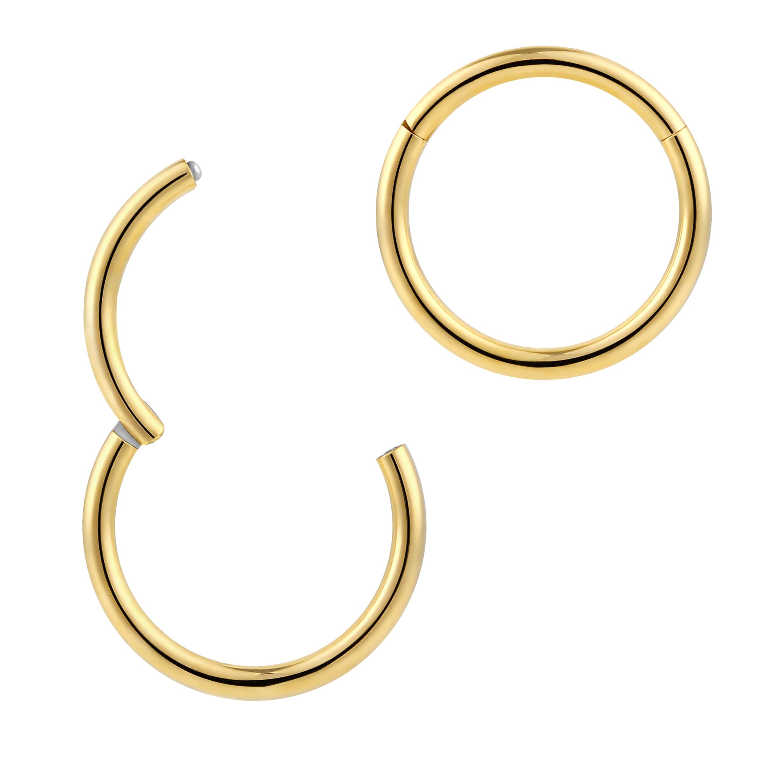 365 SLEEPERS 1pc Titanium Implant Grade Nose Rings 20G 18G 16G 14G 12G 10G 8G 6G Septum Hinged Segment Ring Body Piercing Jewellery Hoop Lip Rings Helix Cartilage Rook Earrings Nickel Free — view 10