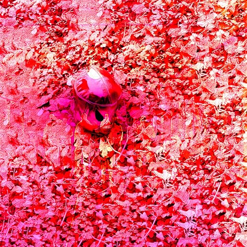 Image of Live on Vetus Marble, Vagabundo, Ivano-Frankivsk, 2025.11.08 (Live)