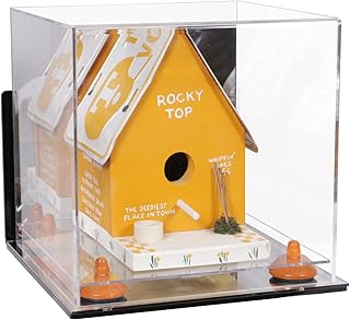 Better Display Cases Acrylic Versatile Display Case - Small Rectangle Box with Mirror Case, Orange Risers , Wall Mount and Mirror Base 9.75 X 9.75 X 9.75 (V02/A027)