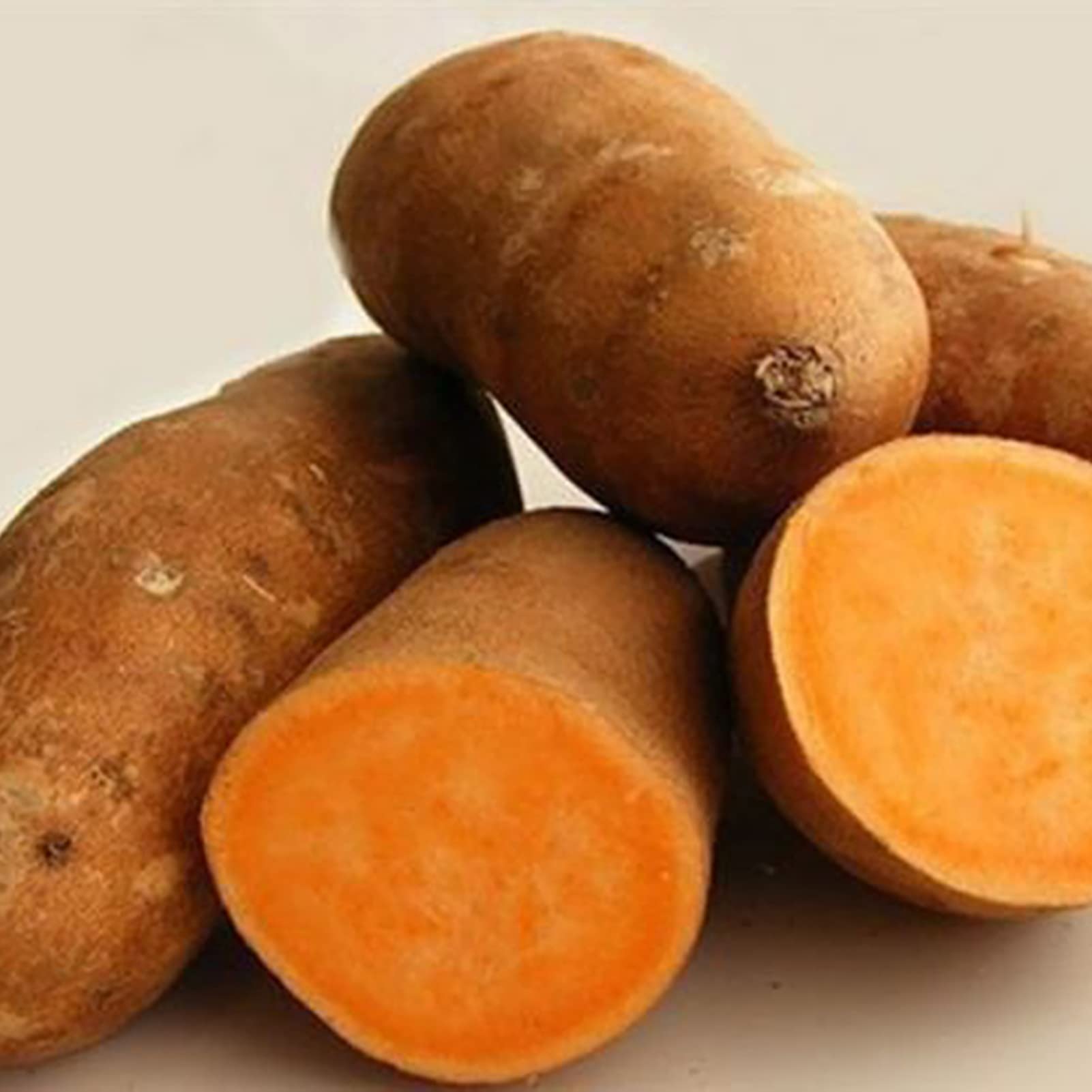 YAYOYO Small Pack Sweet Potato Seeds 10Pcs Non GMO Natural Planting Sweet Potato Seeds for Garden Yards Seeds 1size
