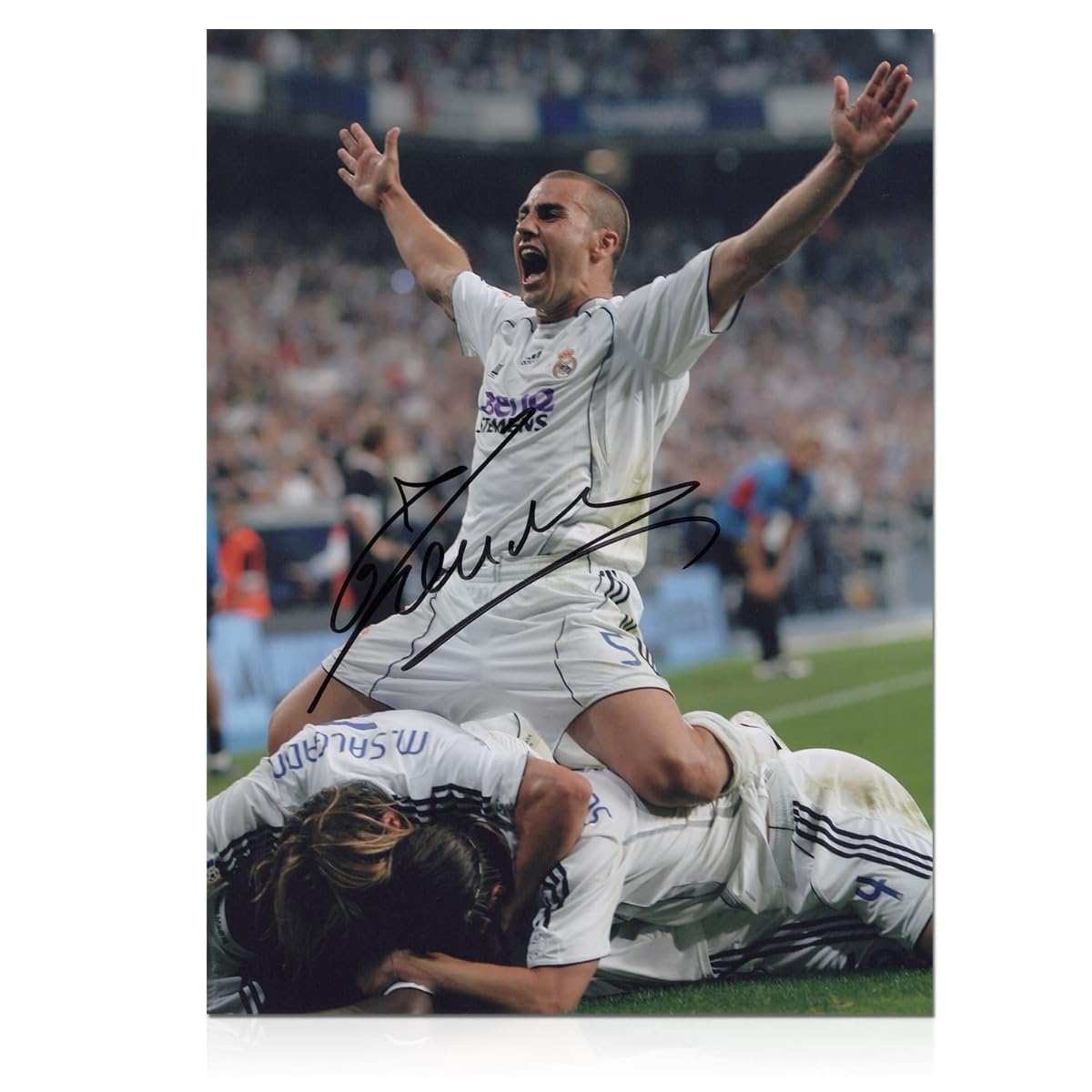 価格相談可 Fabio Cannavaro 直筆サイン 額装 鑑定書付 オート Fabio
