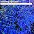 Dalanpa Firefly Garden Lights Laser Star Projector, Outdoor Decorative Lighting with Blue Nebula for Garden Indoor Outdoor
