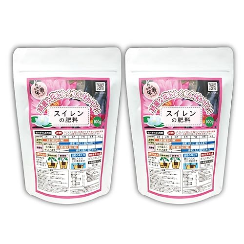 �X�C�����̔엿 100gx2�܁m�`���b�N�܁n201300