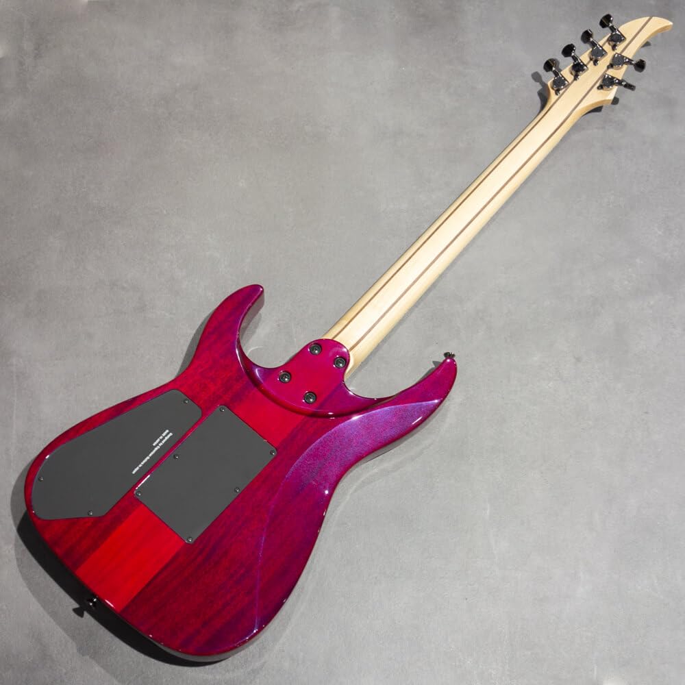 Amazon | Caparison Guitars Dellinger II Prominence EF Trans