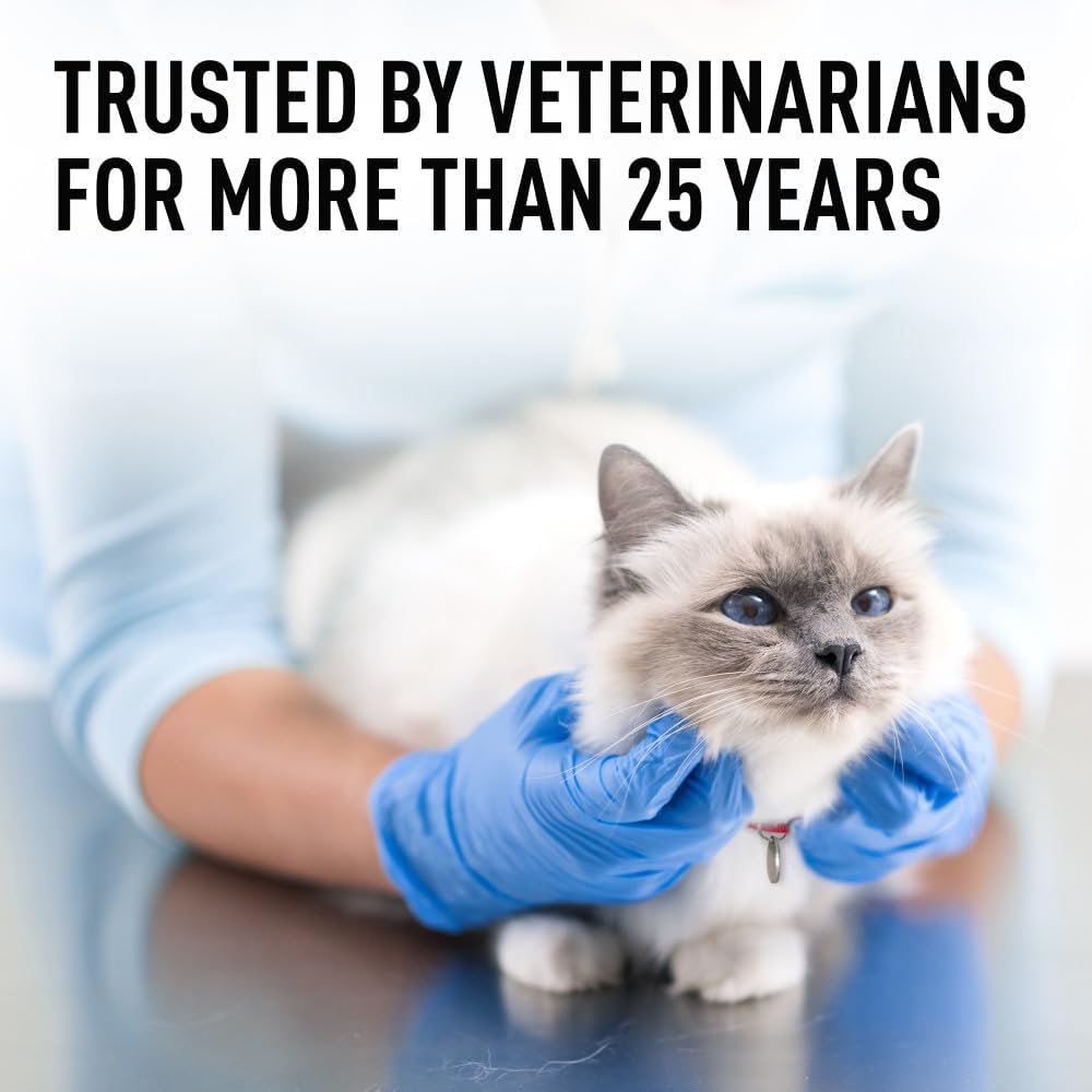 Interceptor for Dogs and Cats | 26-50 lbs Dogs / 6.1-12 lbs Cats | 6-Month Supply
