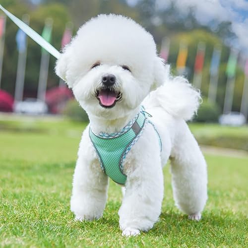 Miniatura 7 de Arnés para perro para perros pequeños y medianos sin tirones, ajustable para cachorros, arnés de malla transpirable reflectante para mascotas,