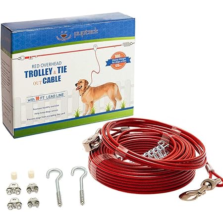 Dog tie out line Clearance