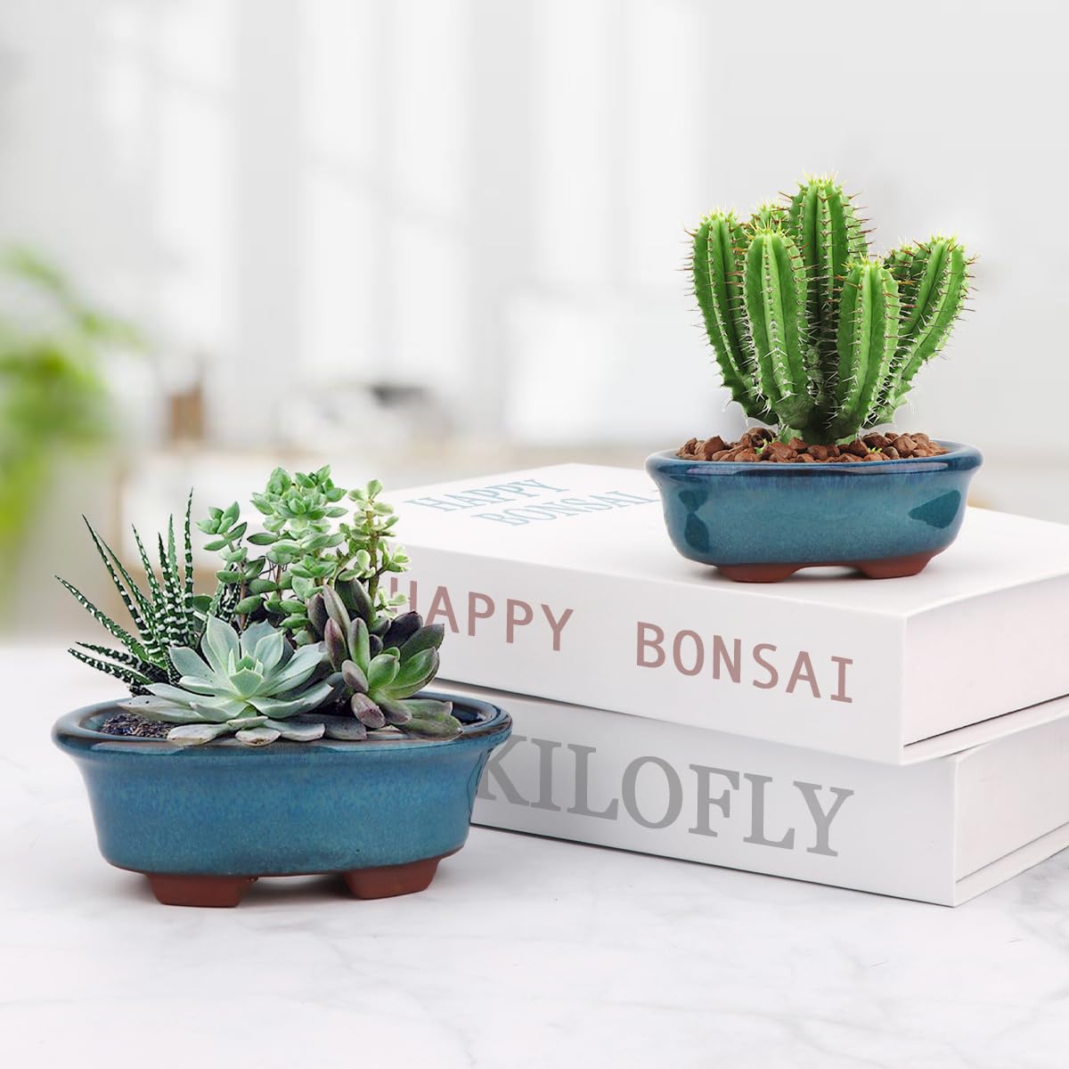 Set 2 Vasi Smaltati Per Bonsai E Piante Grasse, Piccoli, Con 4 Reti Drenanti, Regalo Per Appassionati