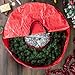 Wreath Storage Container - Canvas Sack with Handles Holds 36-Inch Artificial Wreaths with Interior Compartment for Ornaments by Elf Stor (Red)