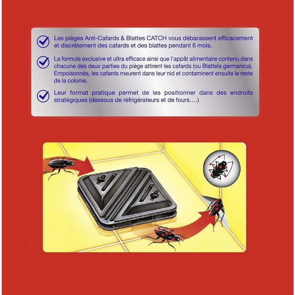 CATCH Lot de 4 boîtes de 6 pièges contaminateurs Anti–Cafards & Blattes