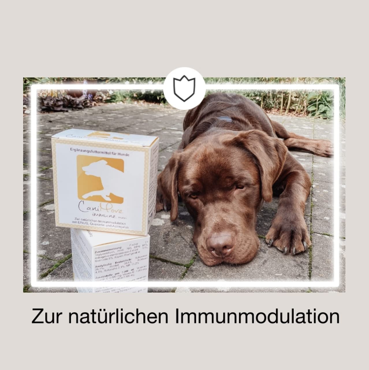 Immune mini (100 Kps), Booster zum Immunsystem stärken und modulieren, für Immunobalance, mit EPA, Tragant und OPC