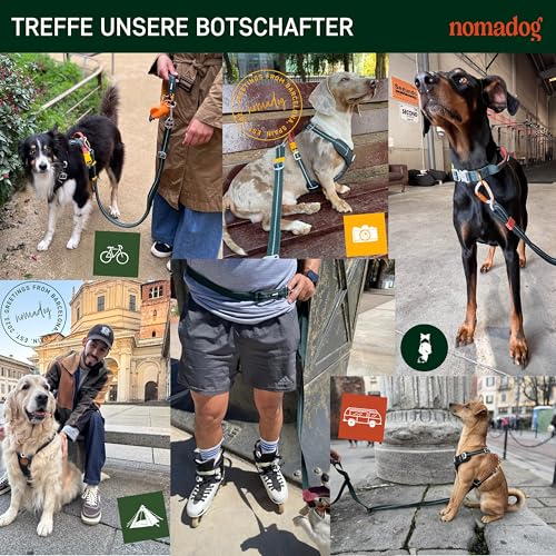 Nomadog Trailblazer Freihandleine Hund 2,4m - Doppelseitig und Stufenlos Verstellbar - Multifunktionale 6-in-1 Hundeleine mit Sicherheitskarabiner aus Aluminium - Perfekt für Jogging und Wandern