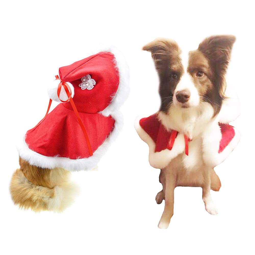 big dog santa costume